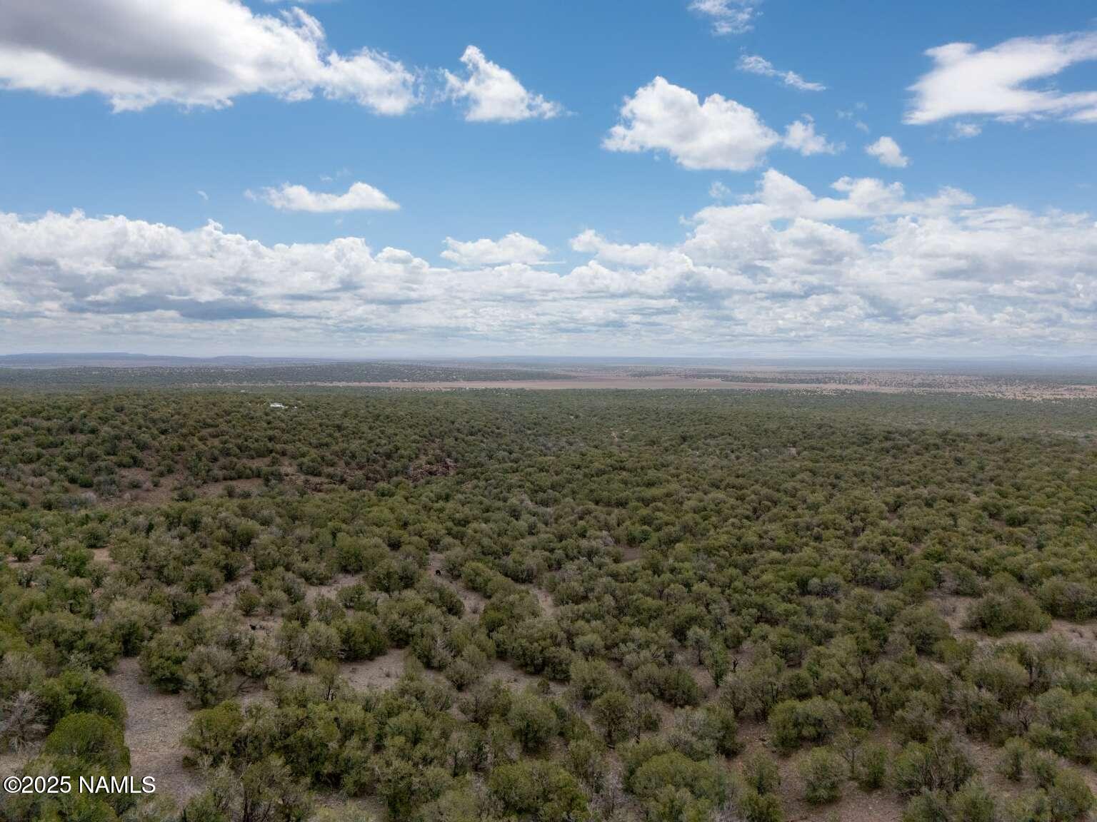 145 Valhalla Williams, AZ 86046 - Photo 9 of 30 Aulakh.8
