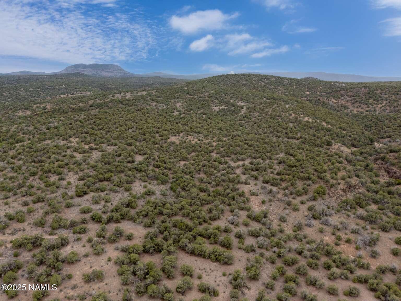 145 Valhalla Williams, AZ 86046 - Photo 10 of 30 Aulakh.9