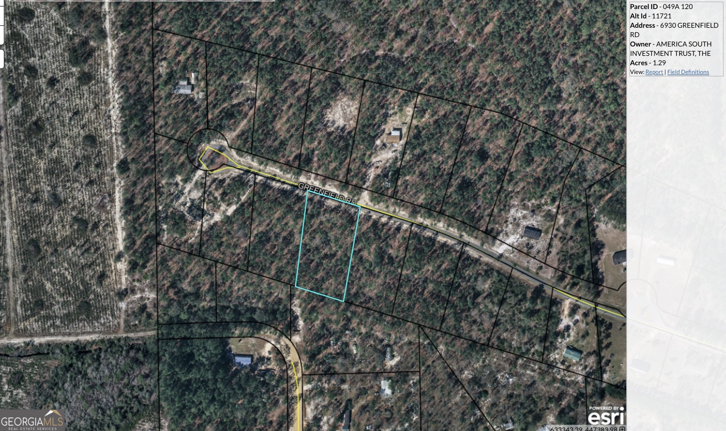 a close up of a tree