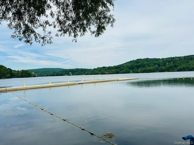 15 Roanoke Road Patterson, NY 12563 - Photo 43 of 48