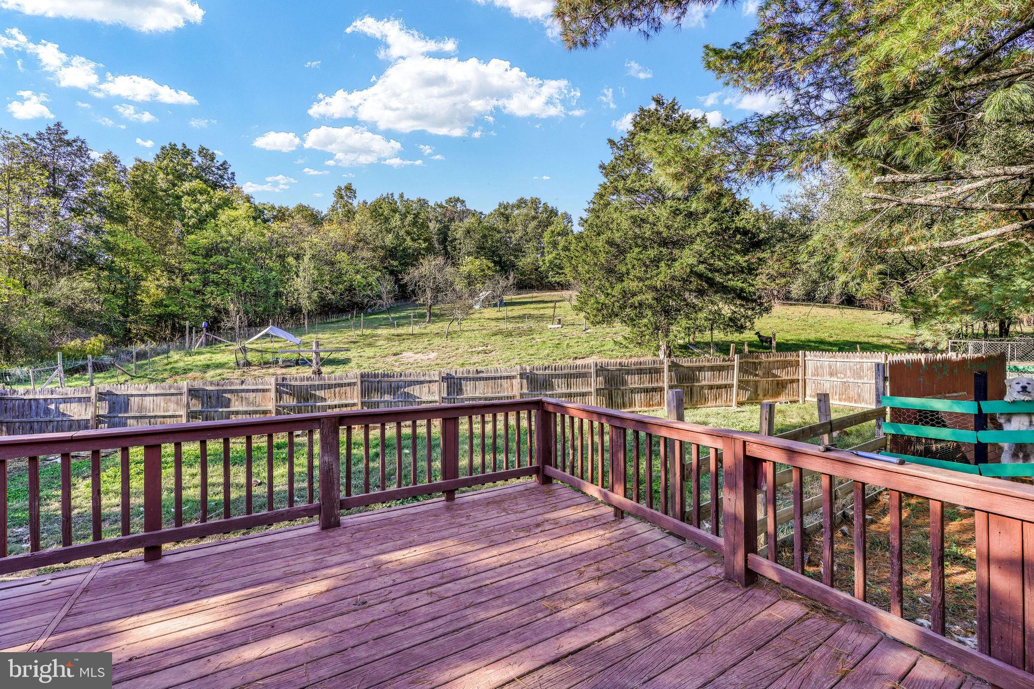 100 Wolfs Lane Fort Valley, VA 22652 - Photo 22 of 43