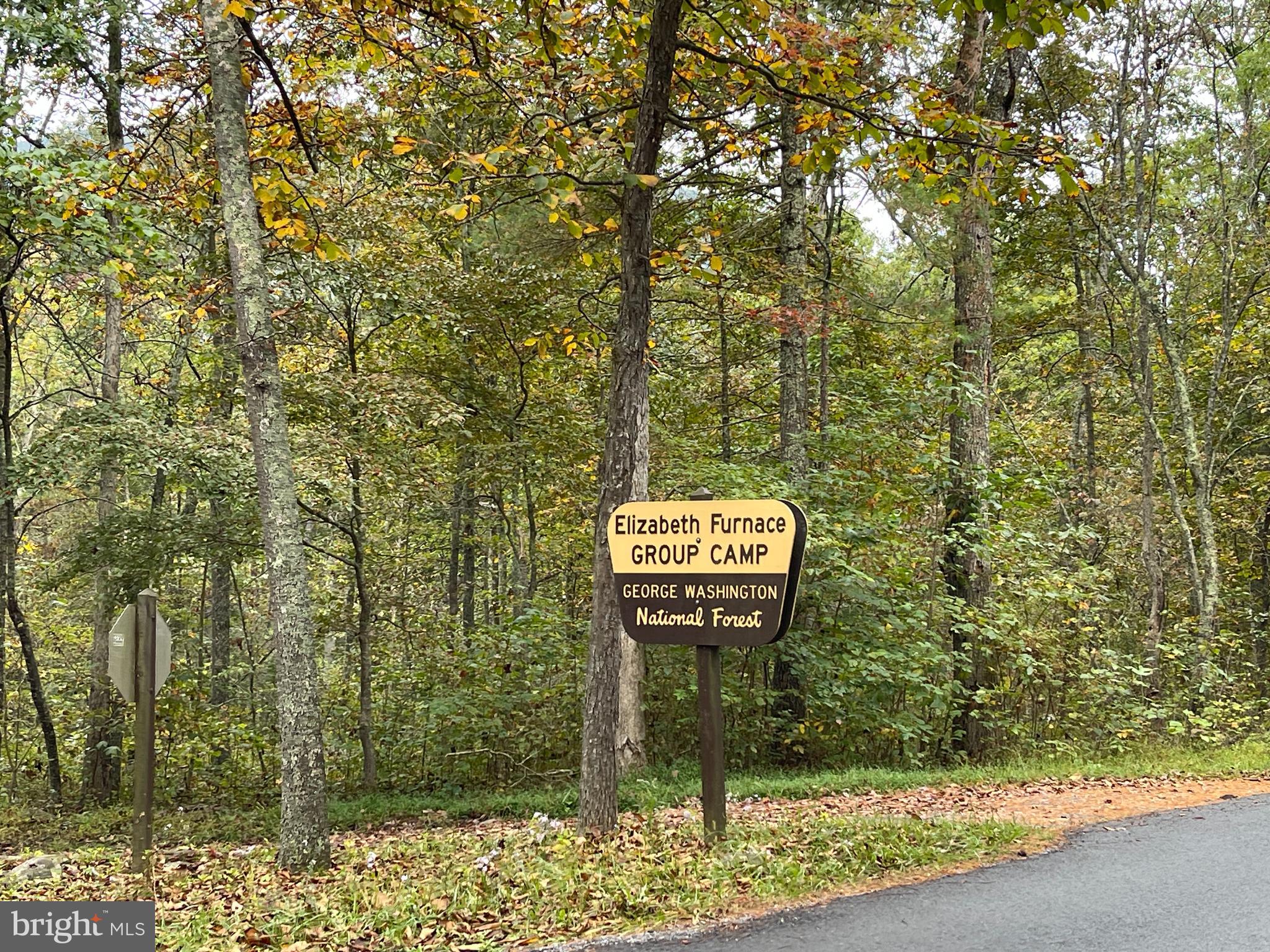 100 Wolfs Lane Fort Valley, VA 22652 - Photo 28 of 43 Nearby Local Attractions-Elizabeth Furnace