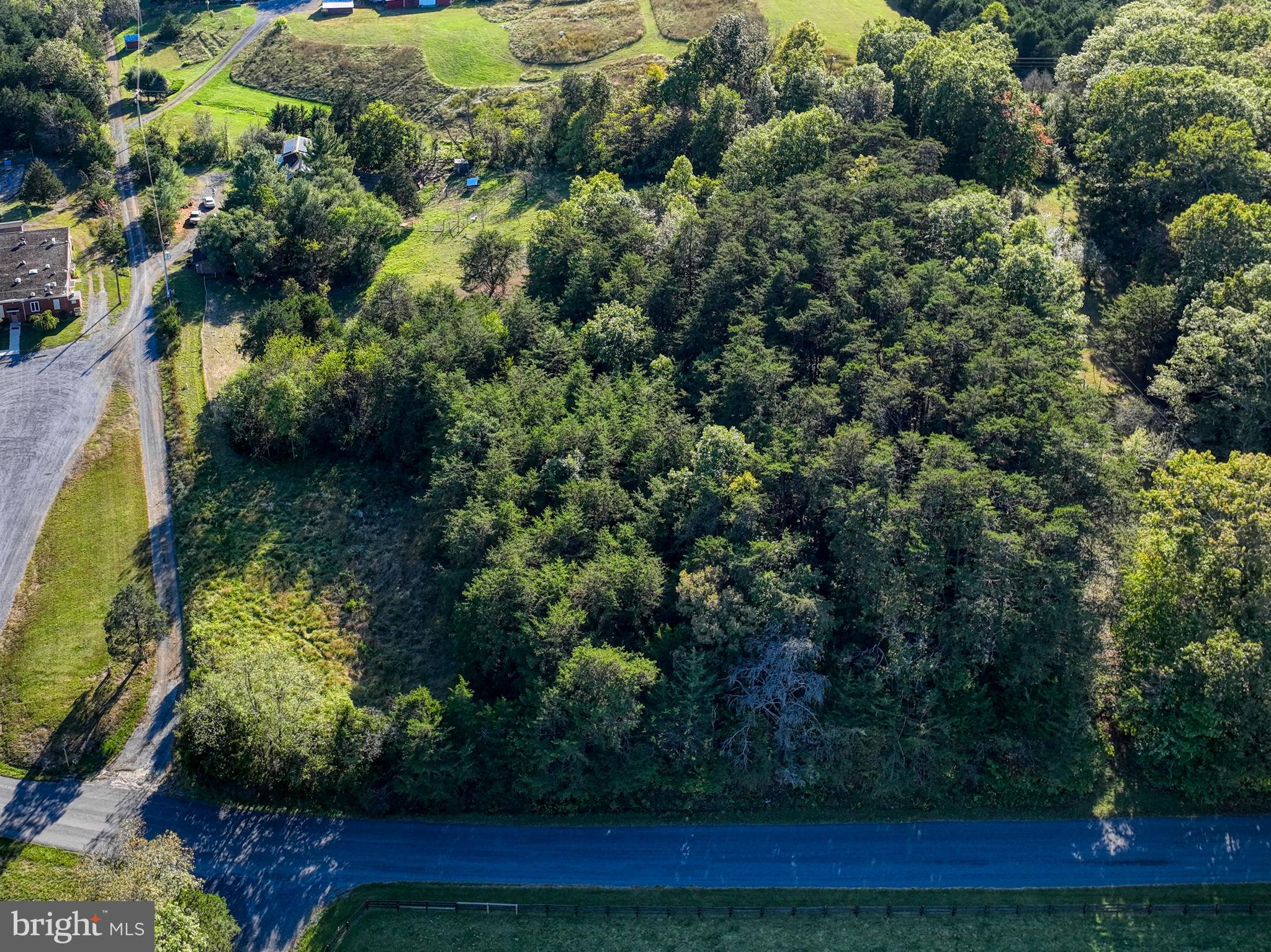 100 Wolfs Lane Fort Valley, VA 22652 - Photo 33 of 43