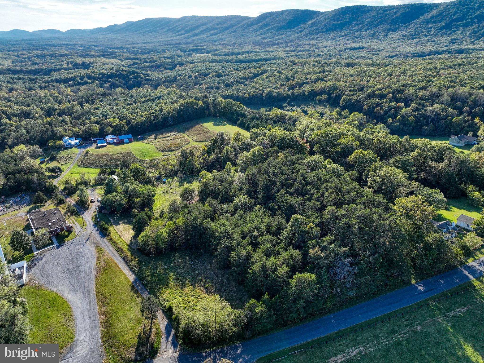 100 Wolfs Lane Fort Valley, VA 22652 - Photo 34 of 43