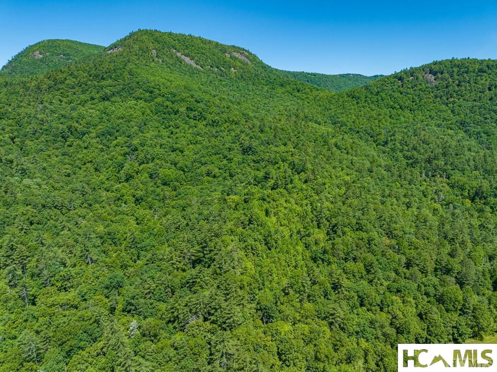 Tbd Chastain Valley Road Highlands, NC 28741 - Photo 3 of 11 Gallery Image 3