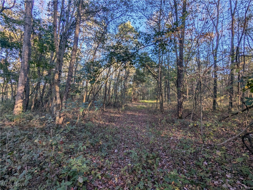 Forbes Road Wellsville, OH 43968 - Photo 19 of 39 Gallery Image 19