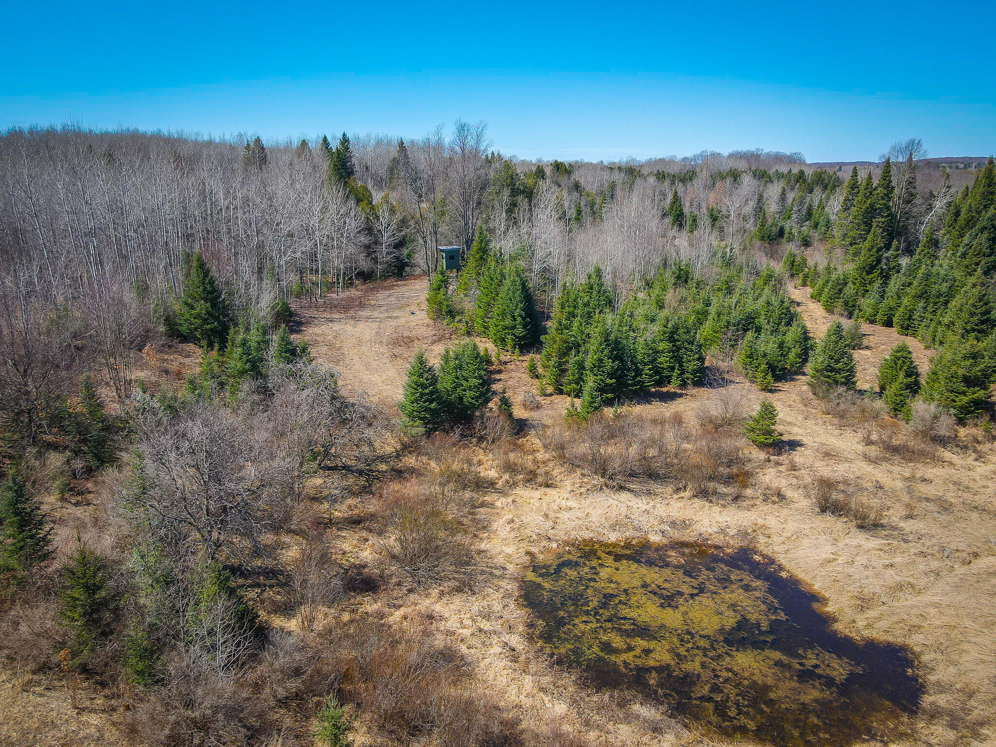 17784 16 Mile Road Leroy, MI 49655 - Photo 11 of 78 dji_fly_20240406_124436_298_171242197108