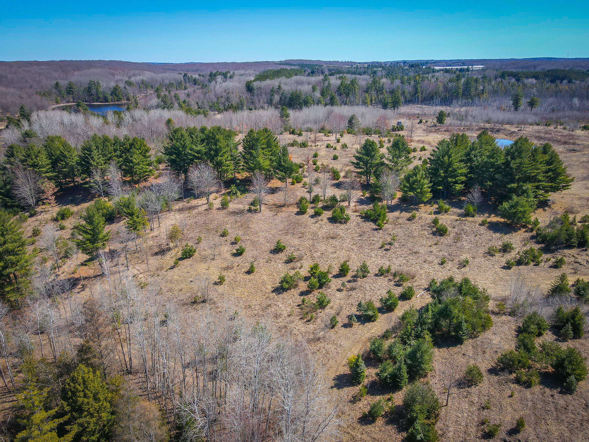 17784 16 Mile Road Leroy, MI 49655 - Photo 13 of 78 dji_fly_20240406_124526_301_171242200546