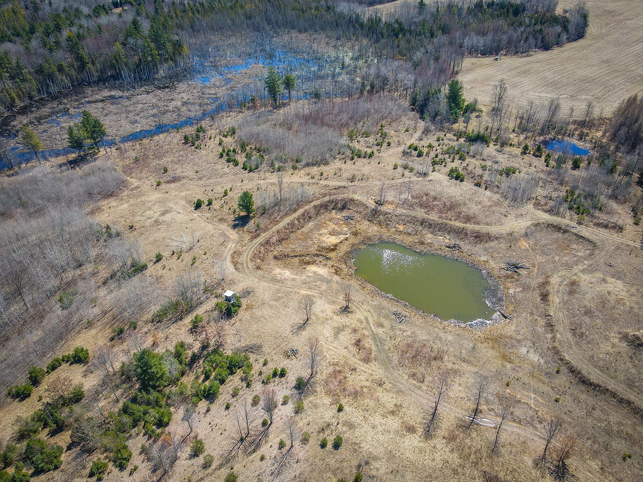 17784 16 Mile Road Leroy, MI 49655 - Photo 16 of 78 dji_fly_20240406_124842_309_171242224655