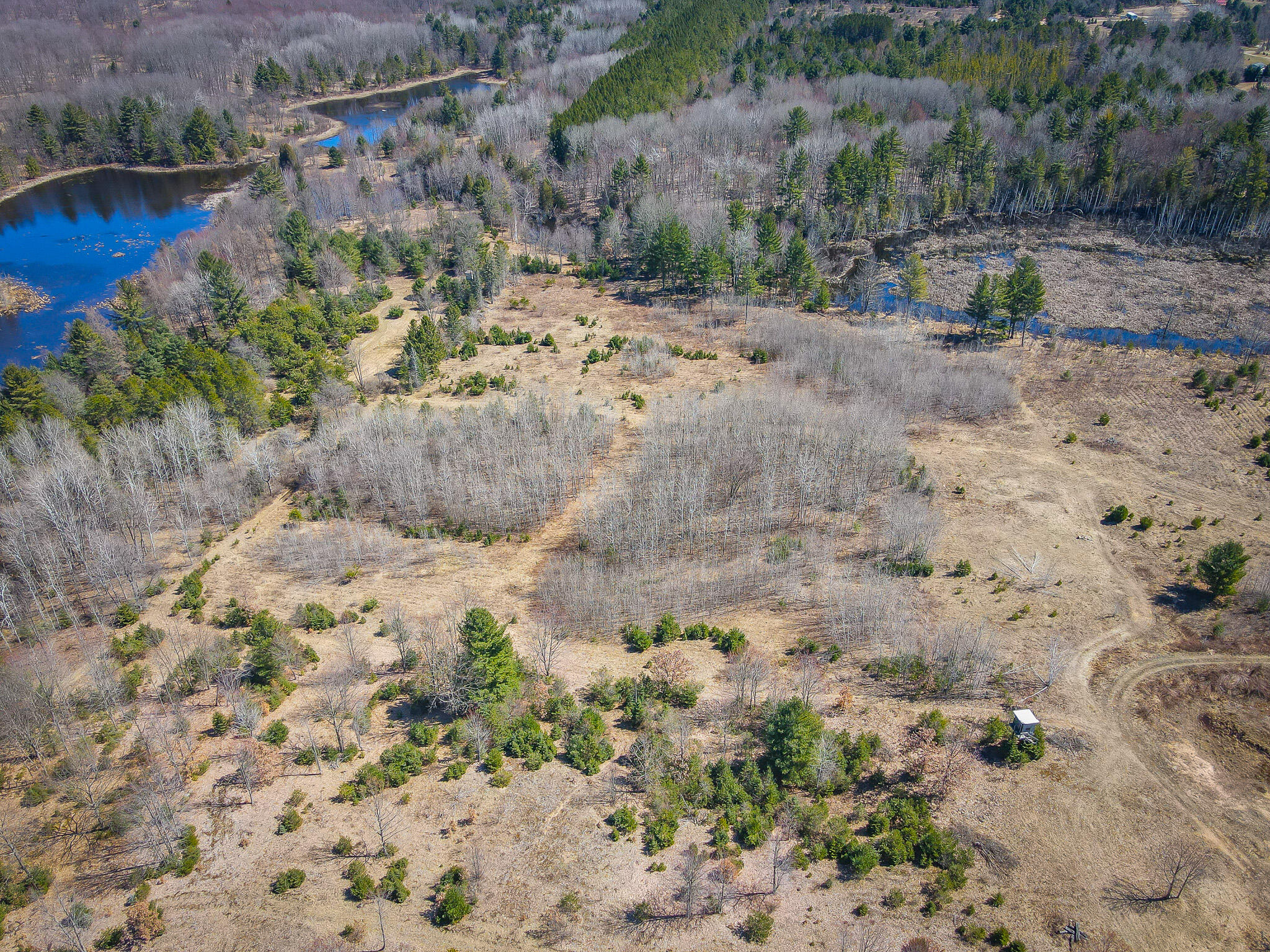 17784 16 Mile Road Leroy, MI 49655 - Photo 17 of 78 dji_fly_20240406_124846_310_171242225031