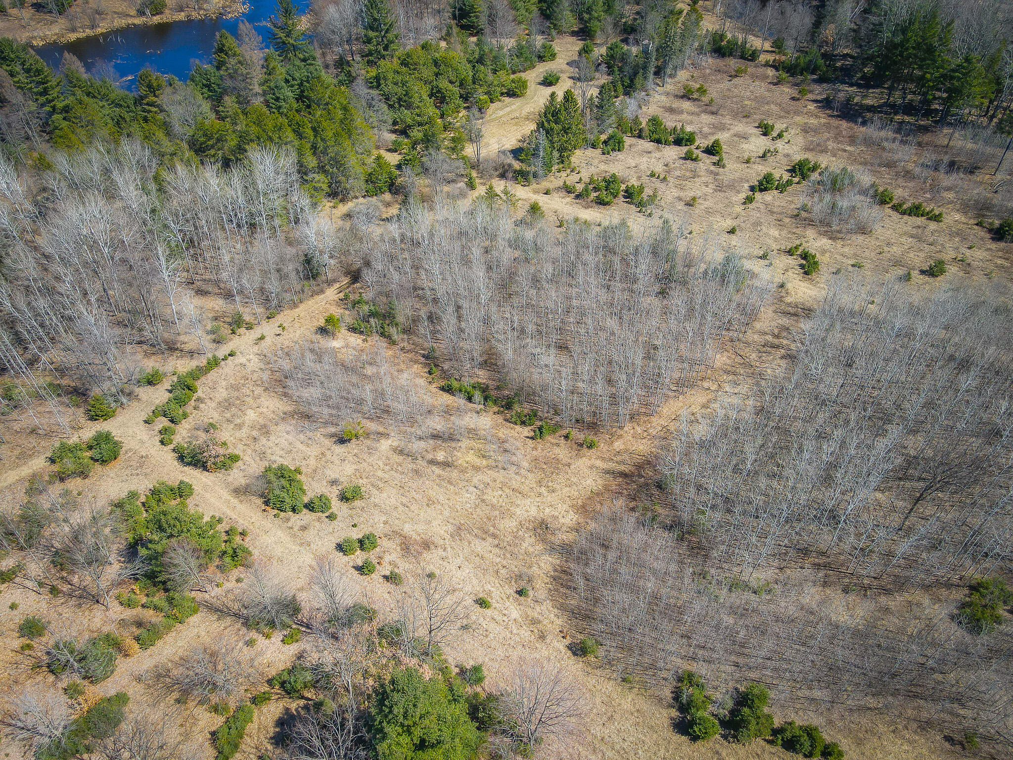 17784 16 Mile Road Leroy, MI 49655 - Photo 18 of 78 dji_fly_20240406_124900_311_171242223990