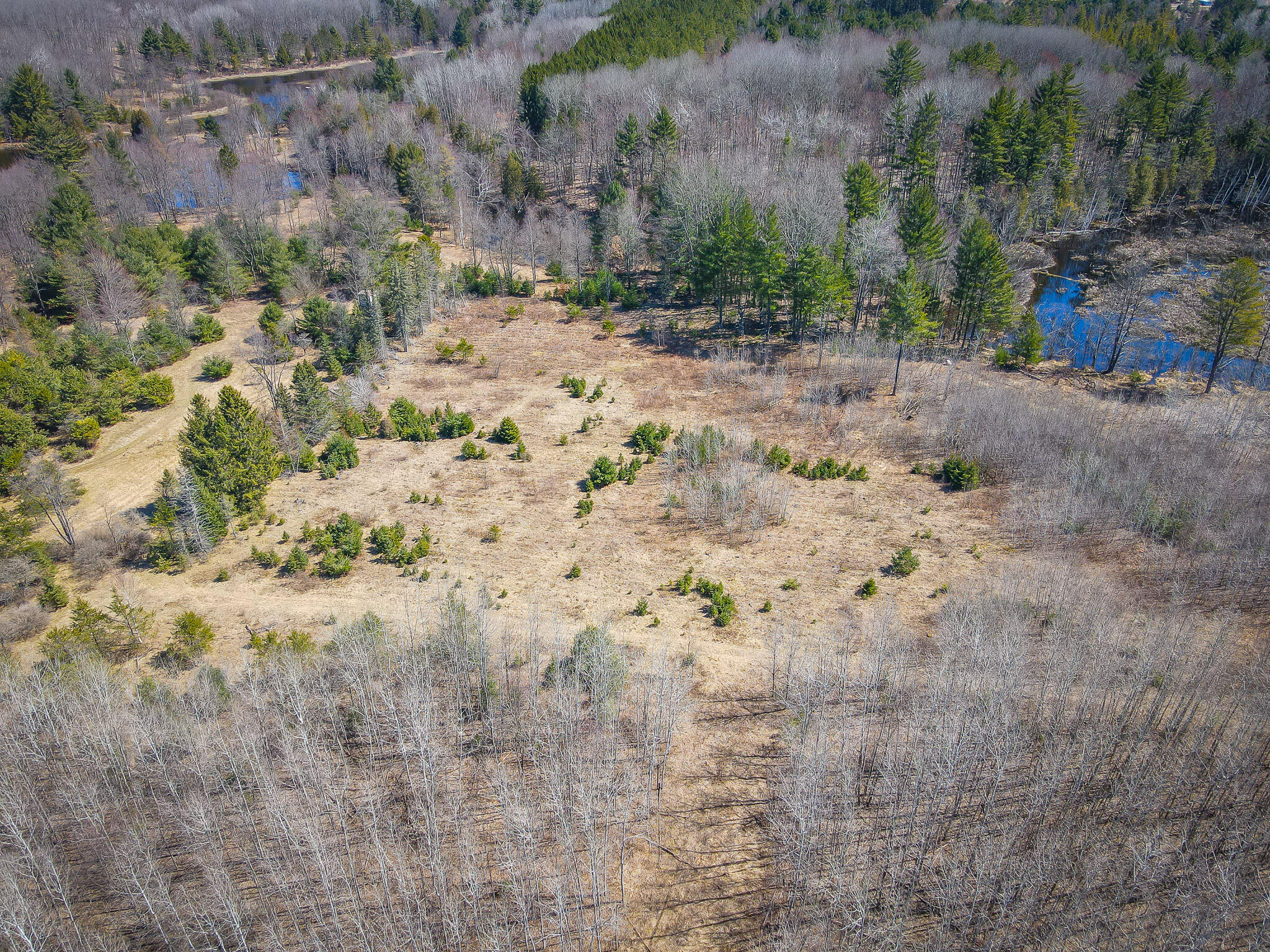 17784 16 Mile Road Leroy, MI 49655 - Photo 19 of 78 dji_fly_20240406_124904_312_171242224381
