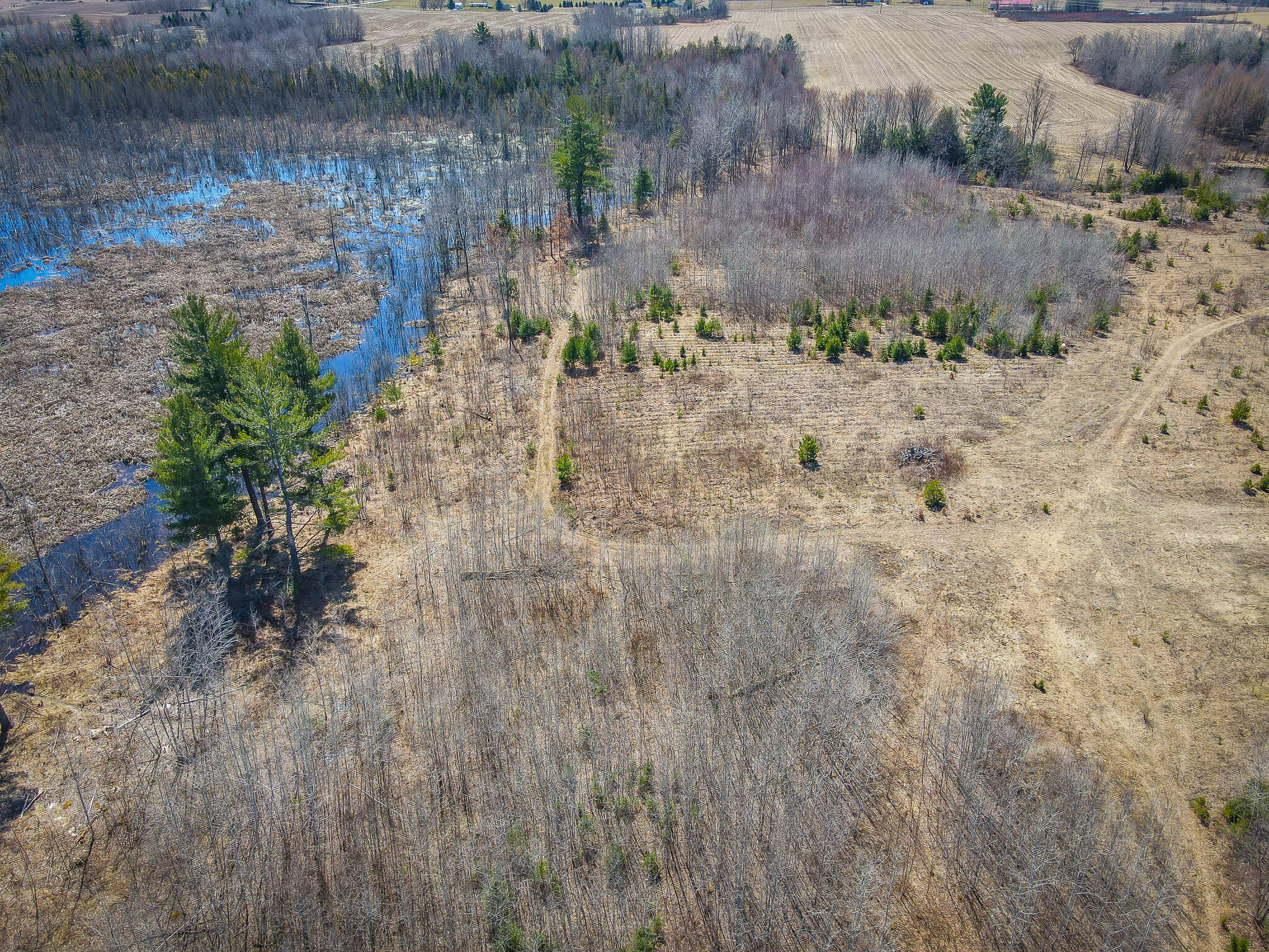 17784 16 Mile Road Leroy, MI 49655 - Photo 20 of 78 dji_fly_20240406_124912_313_171242219348
