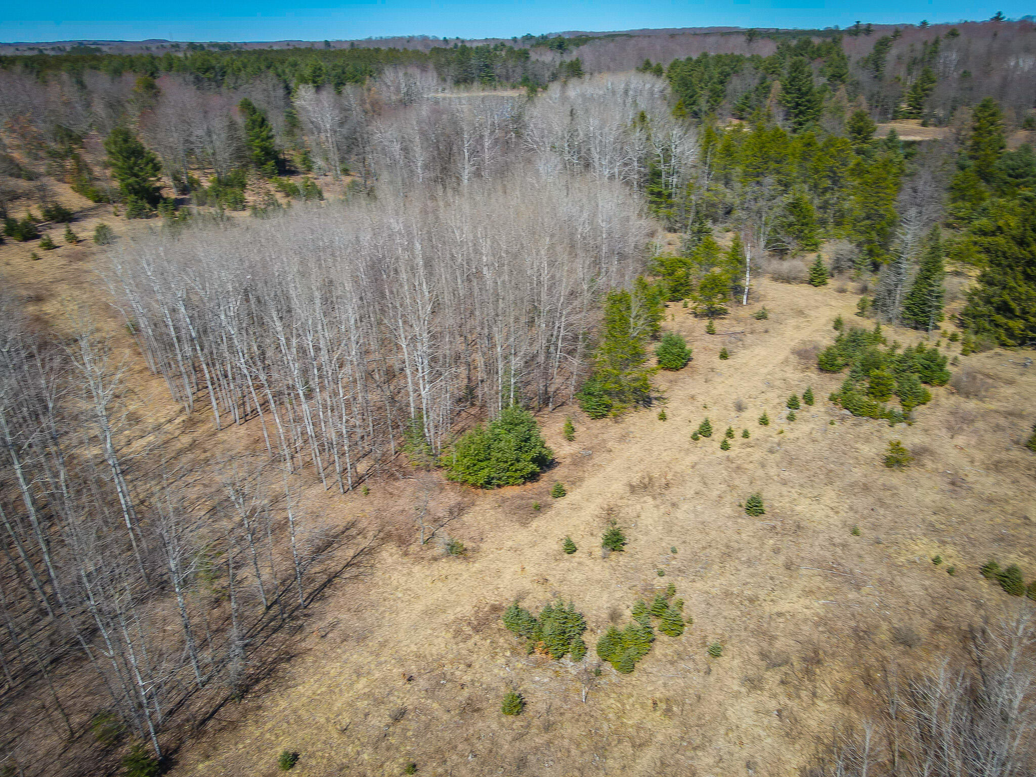 17784 16 Mile Road Leroy, MI 49655 - Photo 22 of 78 dji_fly_20240406_125220_317_171242240448