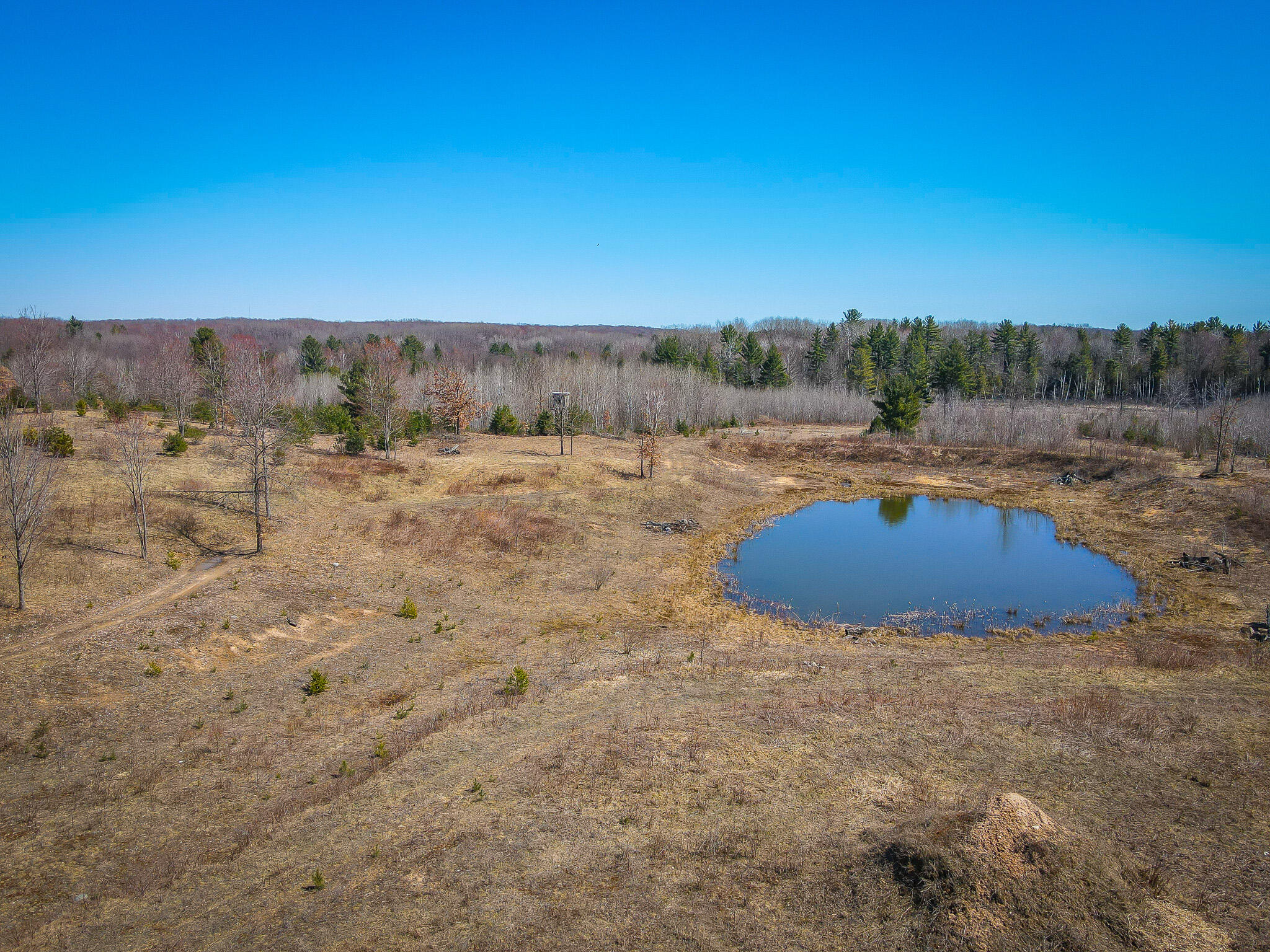 17784 16 Mile Road Leroy, MI 49655 - Photo 26 of 78 dji_fly_20240406_125418_323_171242247048