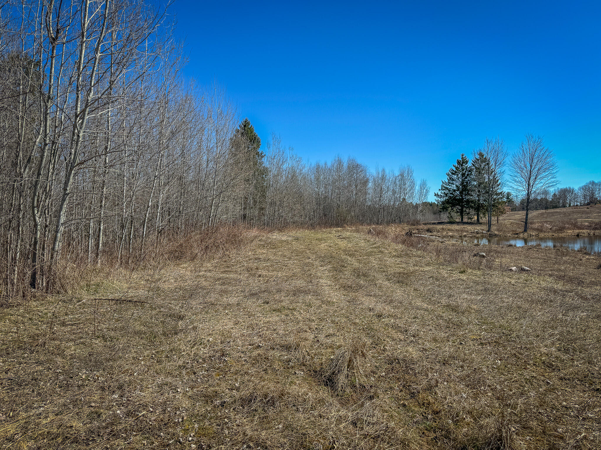 17784 16 Mile Road Leroy, MI 49655 - Photo 36 of 78 IMG_3569