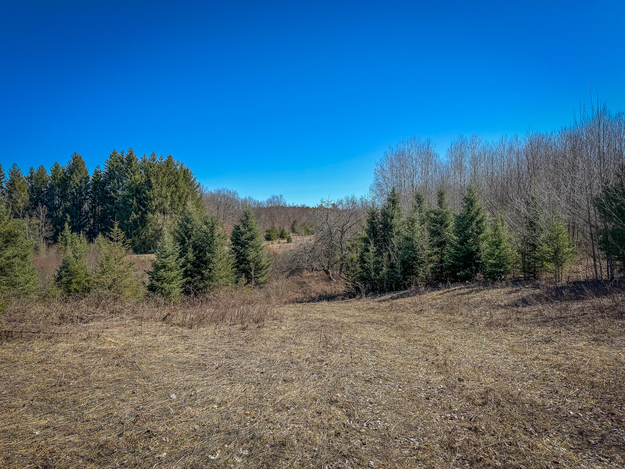 17784 16 Mile Road Leroy, MI 49655 - Photo 41 of 78 IMG_3579