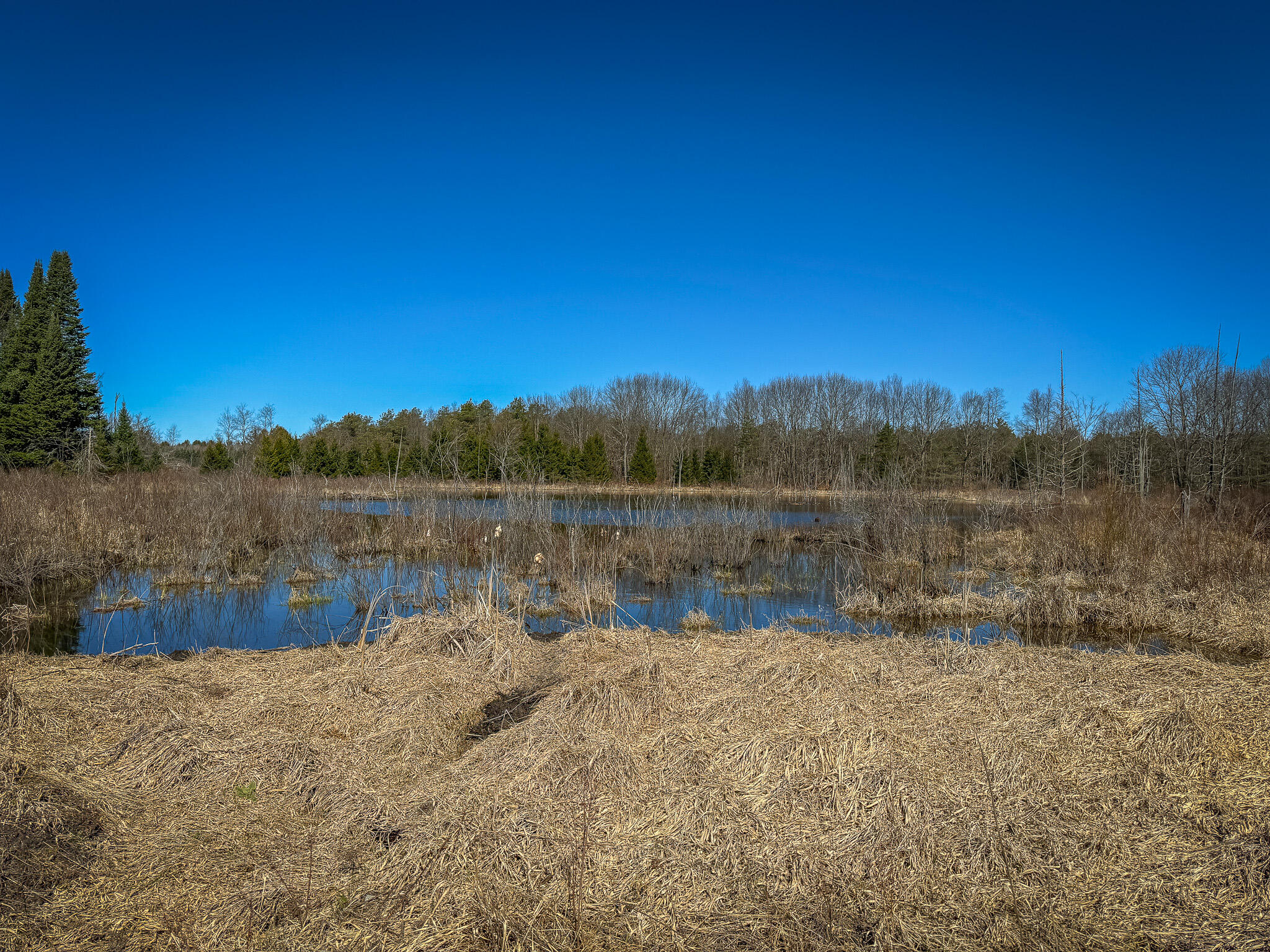 17784 16 Mile Road Leroy, MI 49655 - Photo 44 of 78 IMG_3583