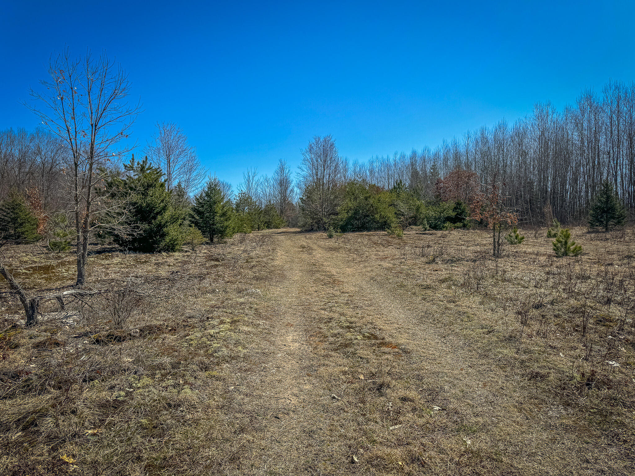 17784 16 Mile Road Leroy, MI 49655 - Photo 46 of 78 IMG_3586