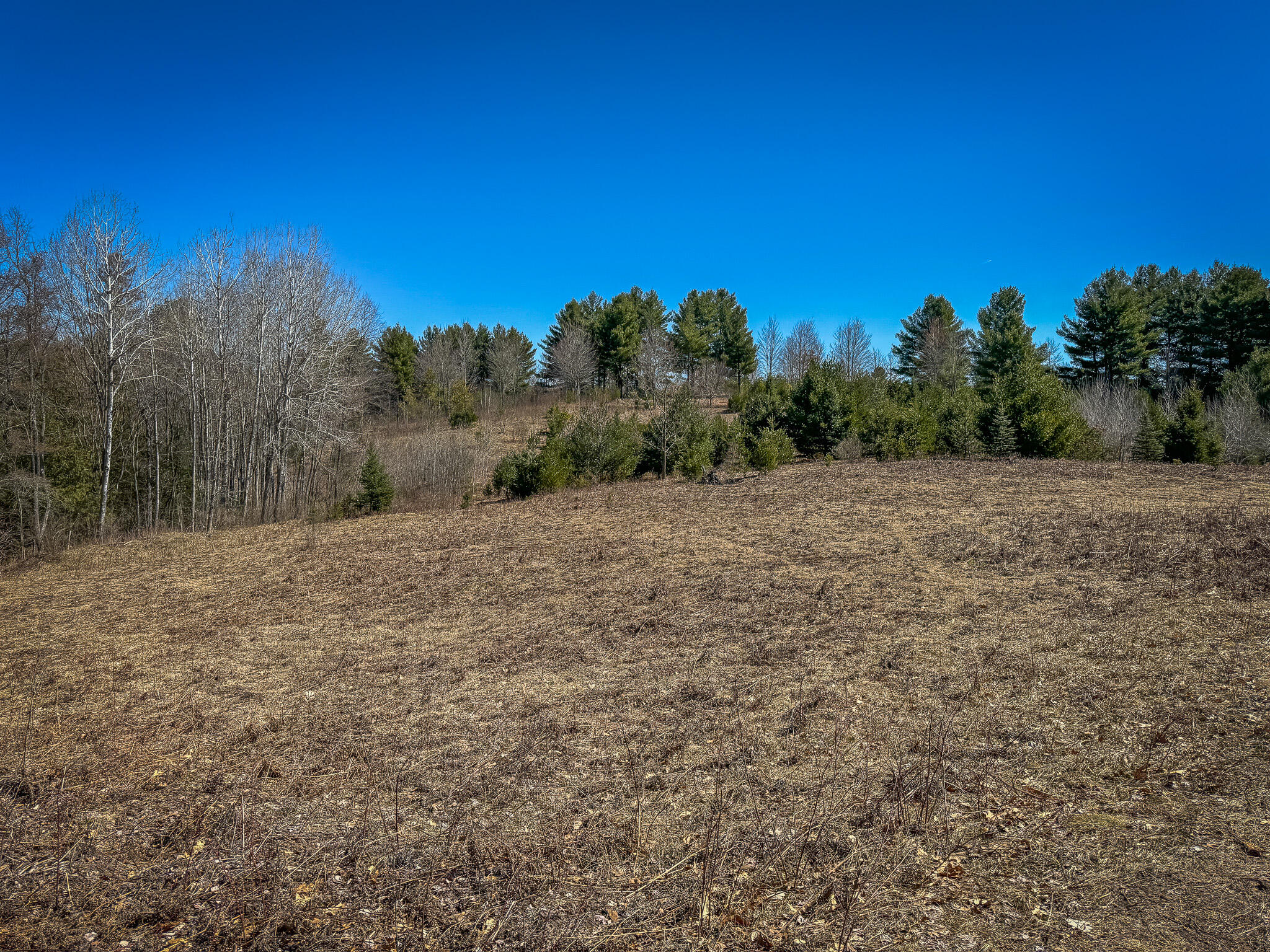 17784 16 Mile Road Leroy, MI 49655 - Photo 51 of 78 IMG_3593