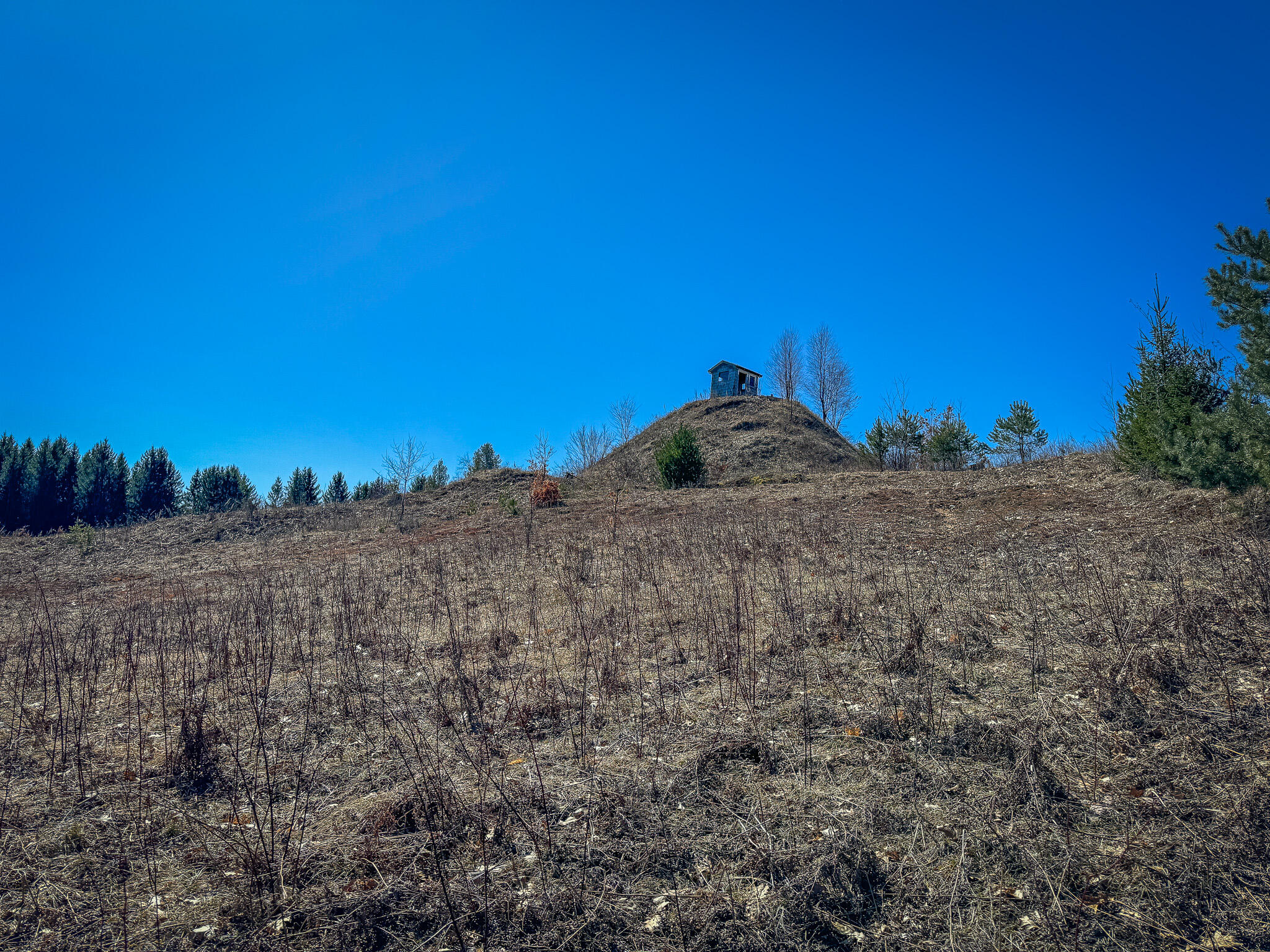 17784 16 Mile Road Leroy, MI 49655 - Photo 52 of 78 IMG_3594