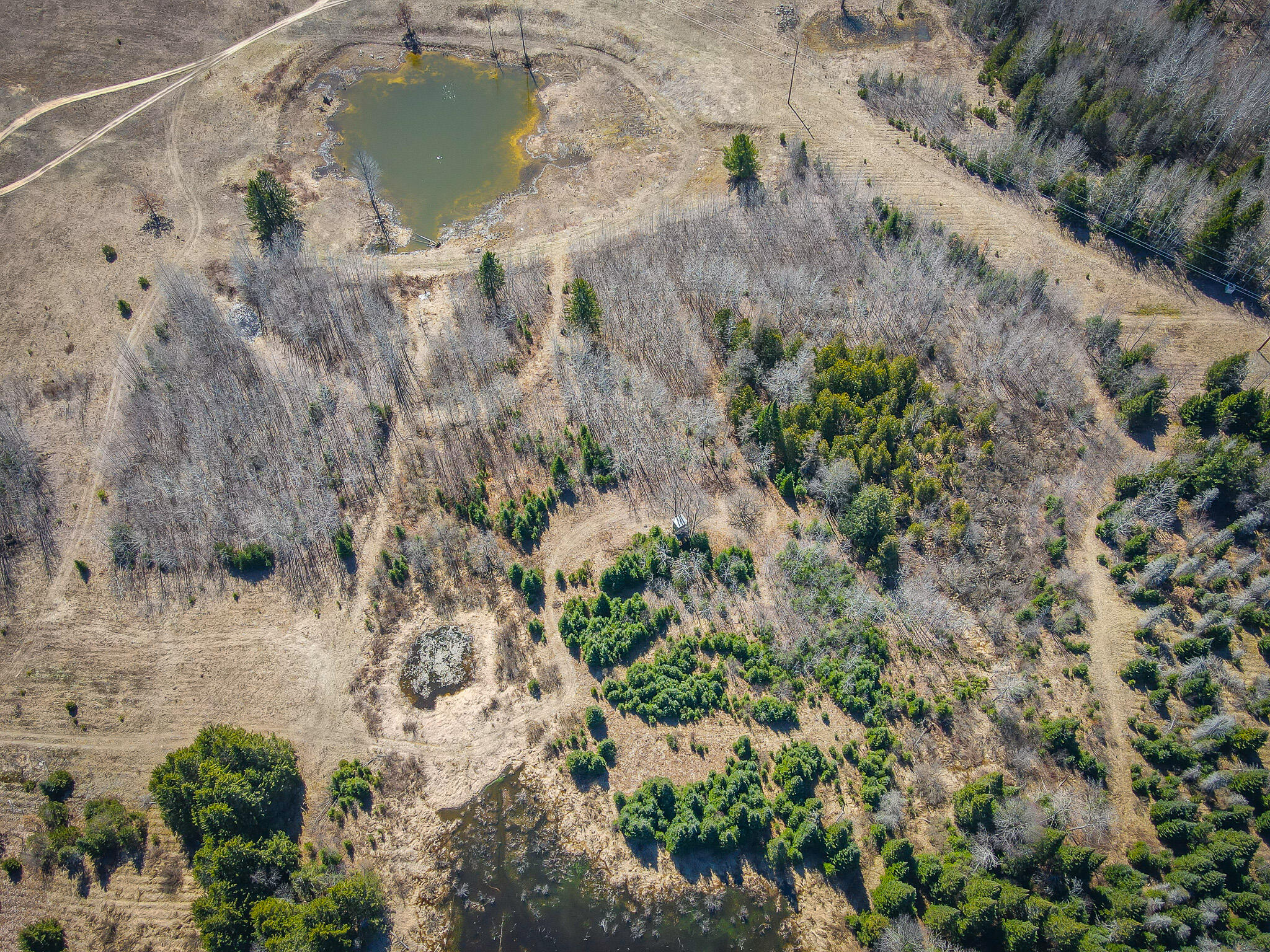 17784 16 Mile Road Leroy, MI 49655 - Photo 7 of 78 dji_fly_20240406_124210_291_171242175183