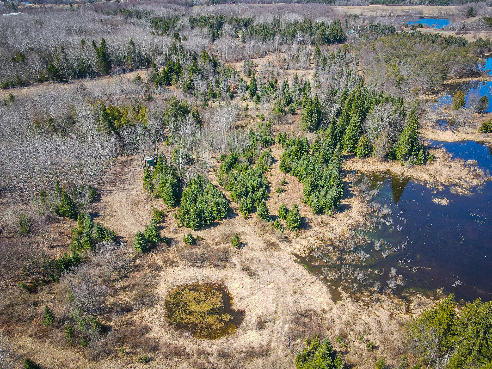 17784 16 Mile Road Leroy, MI 49655 - Photo 9 of 78 dji_fly_20240406_124328_294_171242195950