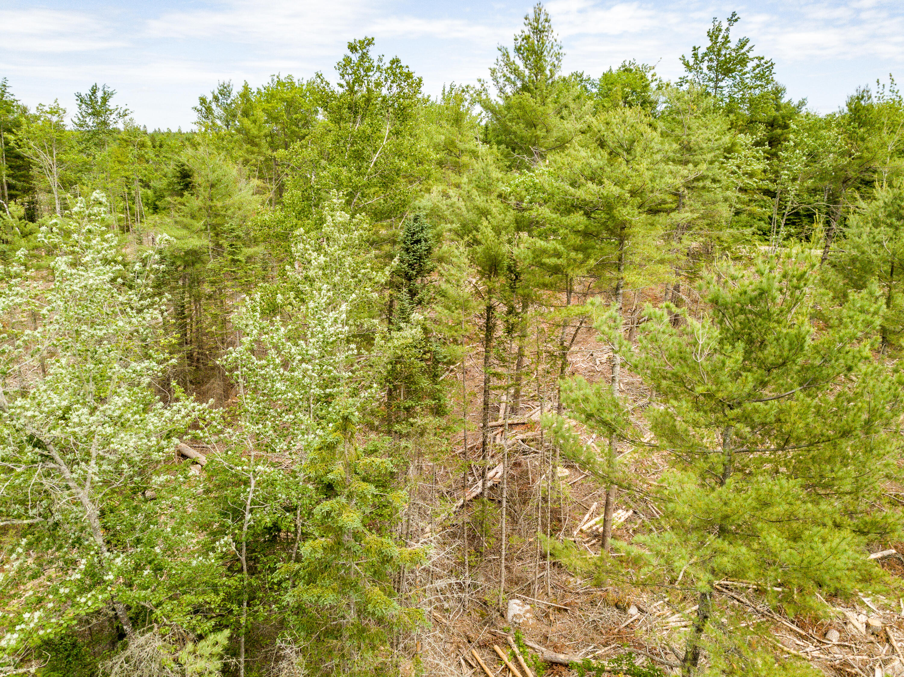 Lot 3 Granite Rock Circle Road Surry, ME 04684 - Photo 5 of 5 Jeff Clarke-21