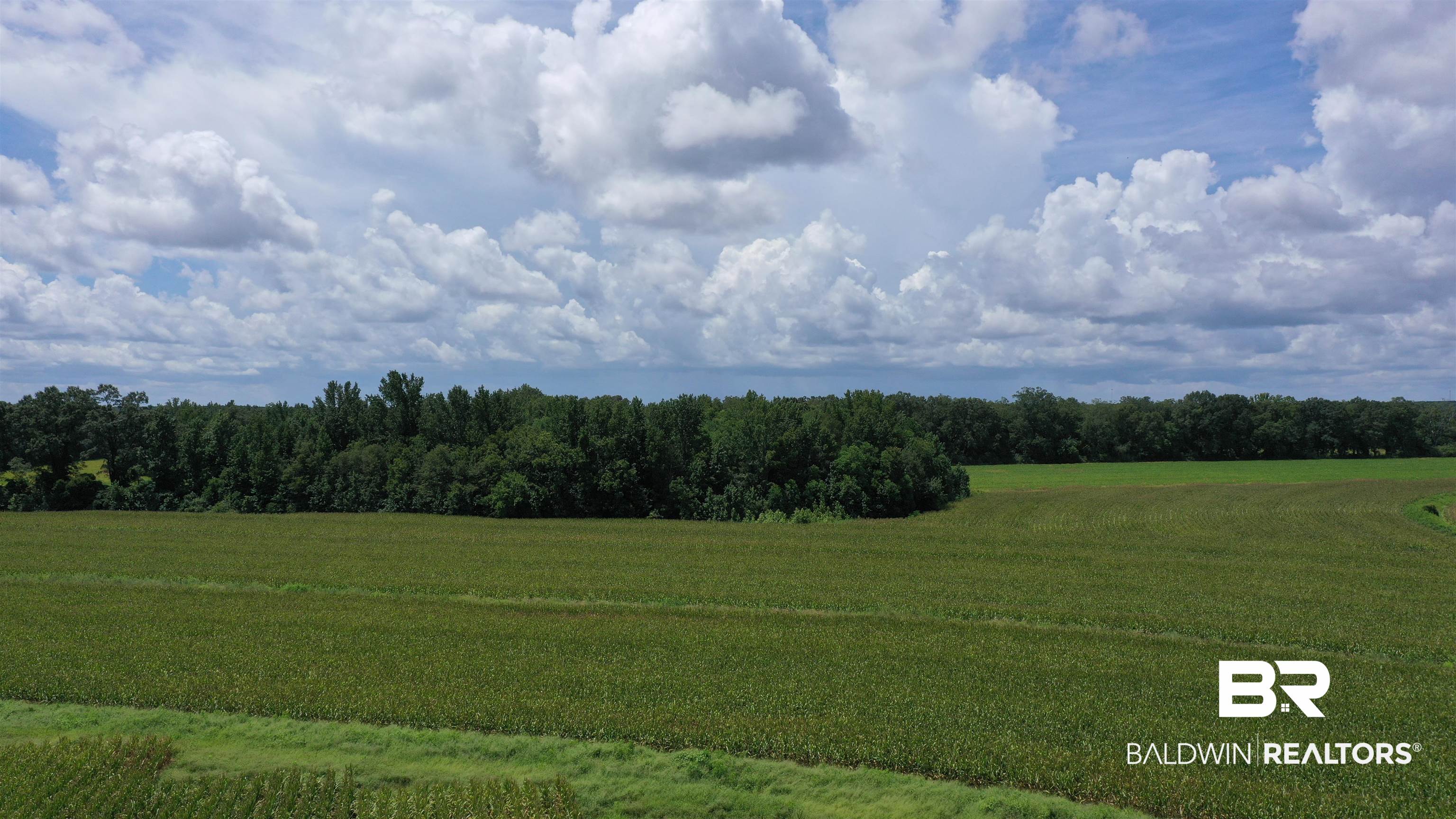 3 Highway 21 Atmore, AL 36502 - Photo 6 of 18 View of nature