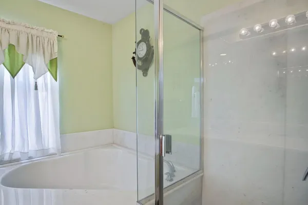 a bathroom with a bathtub and a shower