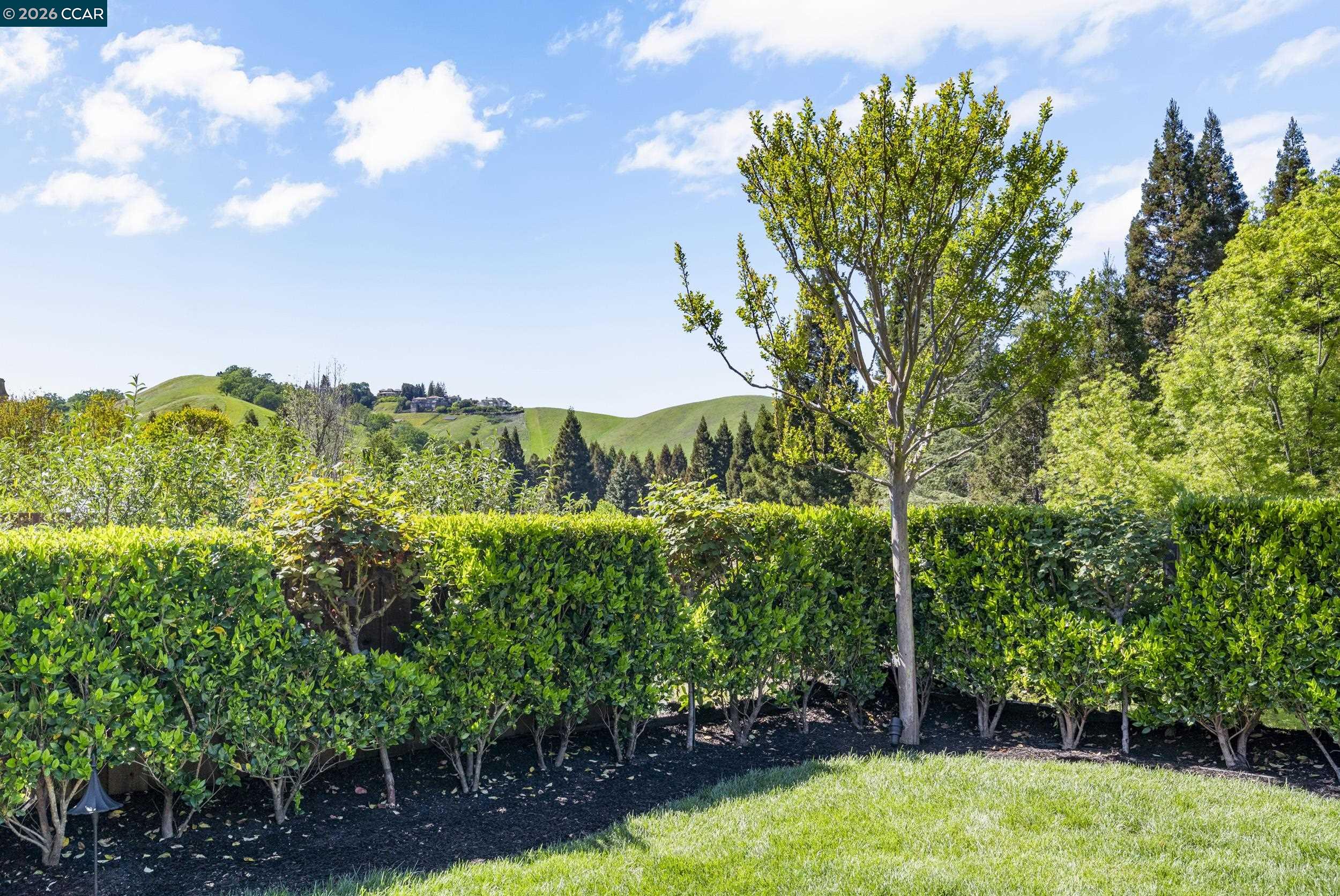 114 Golden Ridge Road Alamo, CA 94507 - Photo 40 of 60 a view of a garden