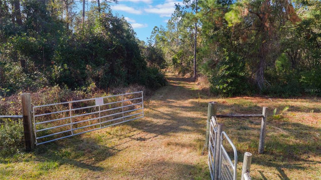 720 Purvis Road Seville, FL 32190 - Photo 1 of 1 a view of a house with a tree