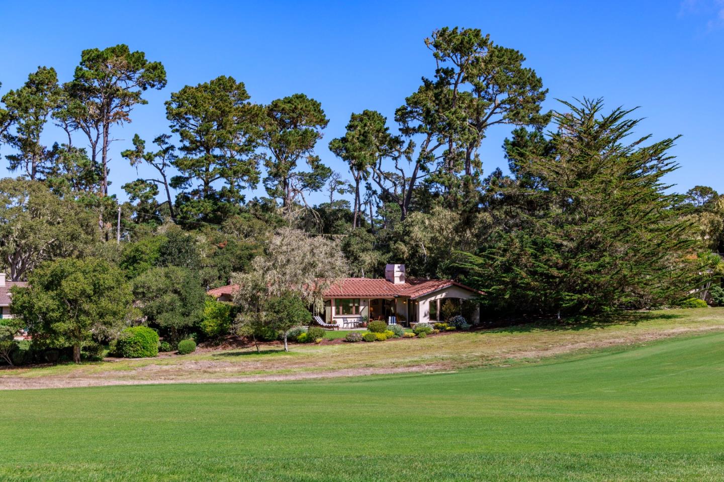 1156 Arroyo Drive Pebble Beach, CA 93953 - Photo 41 of 42 a view of a big yard with plants and large trees