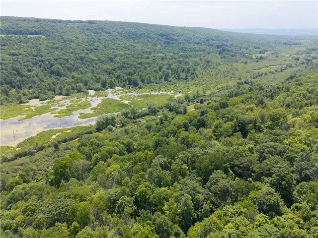 $32,000 | 7080 Conesus Springwater Road, Conesus, NY 14435