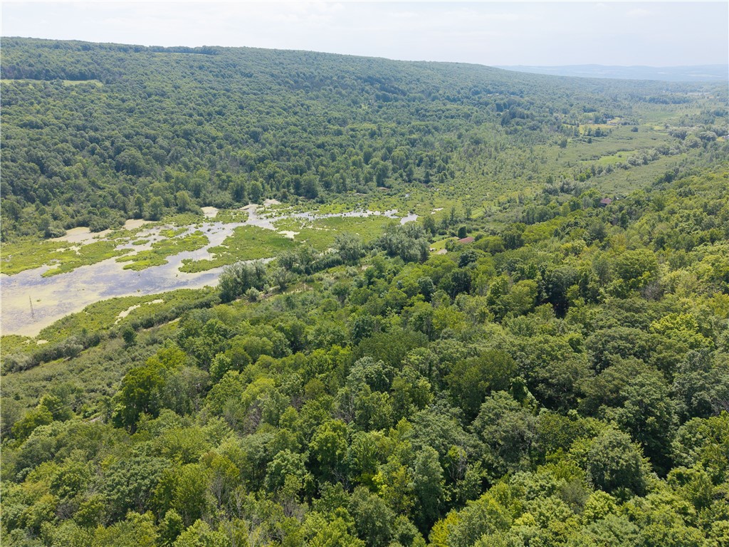 7080 Conesus Springwater Road Conesus, NY 14435 - Photo 11 of 14