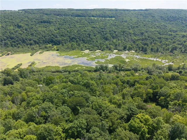 $32,000 | 7080 Conesus Springwater Road, Conesus, NY 14435