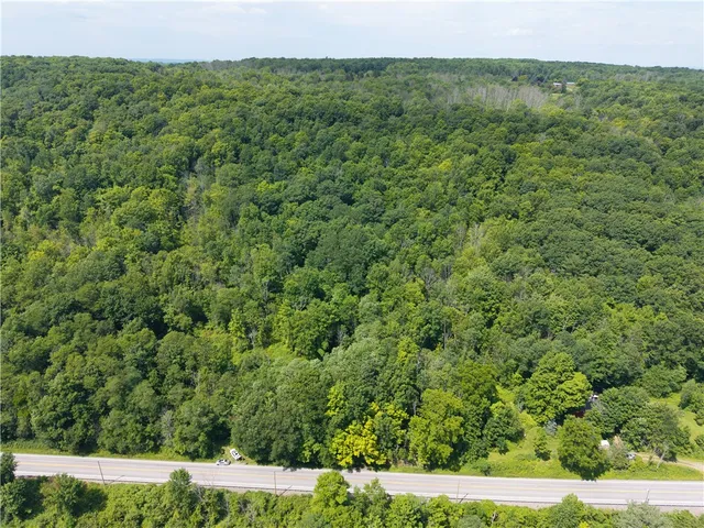 $32,000 | 7080 Conesus Springwater Road, Conesus, NY 14435