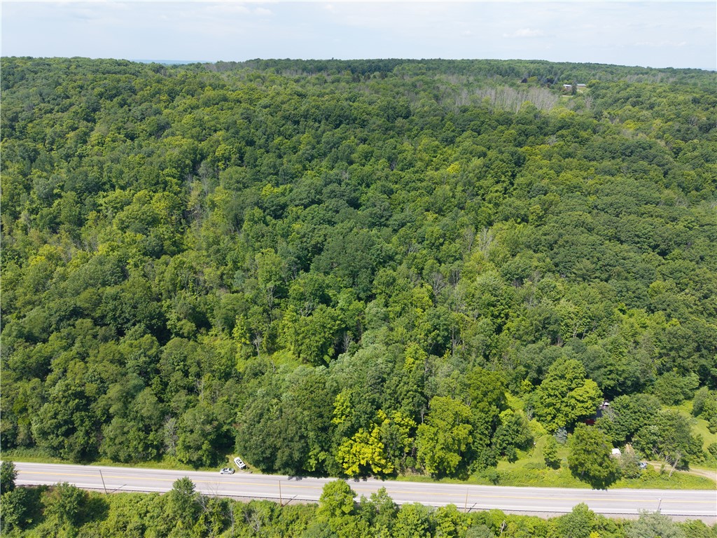 7080 Conesus Springwater Road Conesus, NY 14435 - Photo 14 of 14