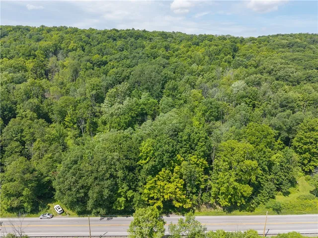 $32,000 | 7080 Conesus Springwater Road, Conesus, NY 14435