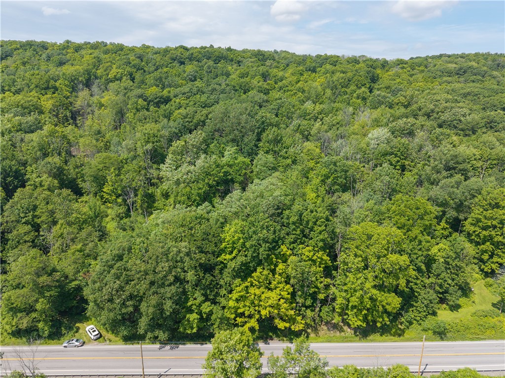 7080 Conesus Springwater Road Conesus, NY 14435 - Photo 2 of 14