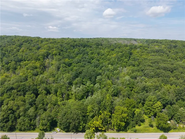 $32,000 | 7080 Conesus Springwater Road, Conesus, NY 14435