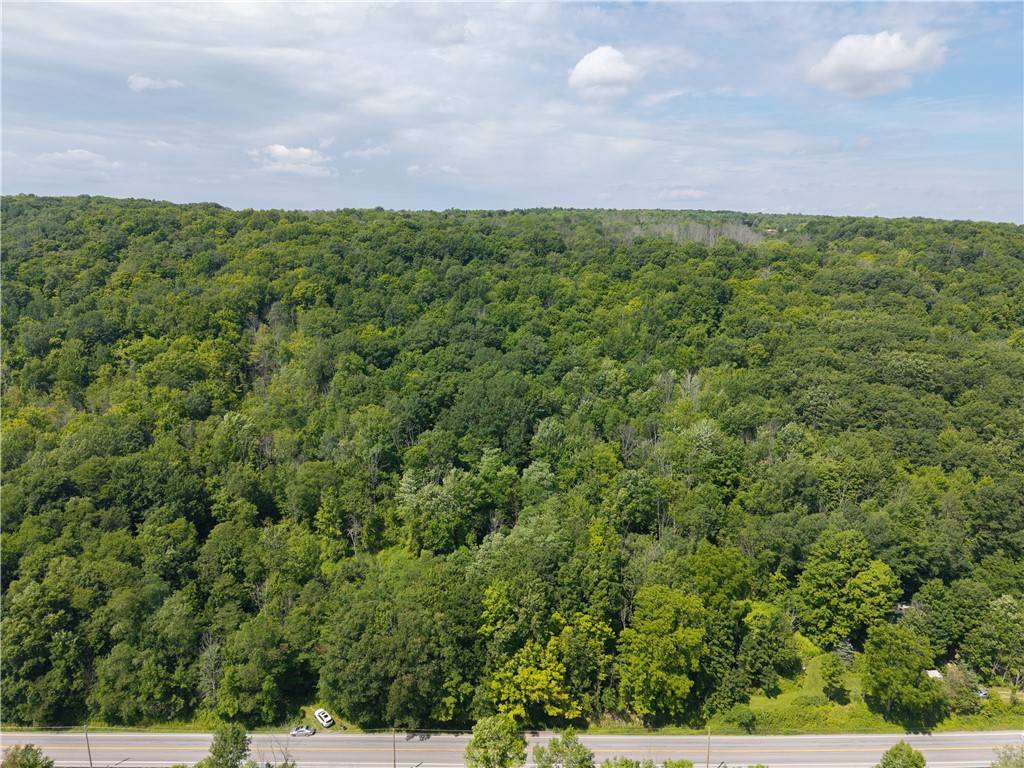 7080 Conesus Springwater Road Conesus, NY 14435 - Photo 3 of 14