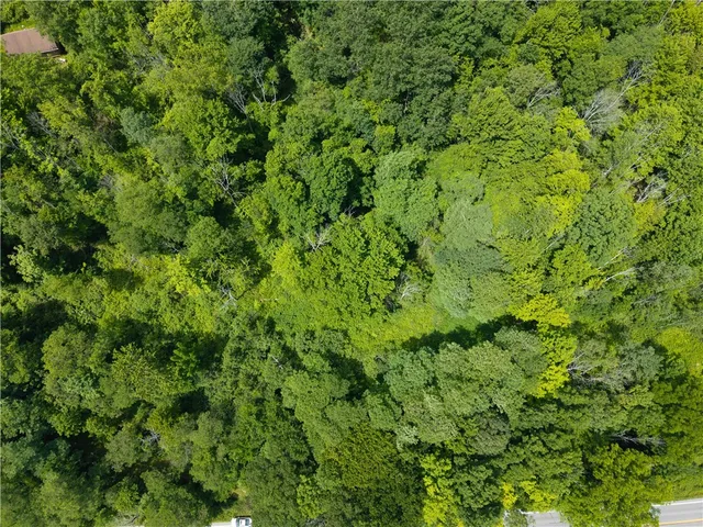 $32,000 | 7080 Conesus Springwater Road, Conesus, NY 14435