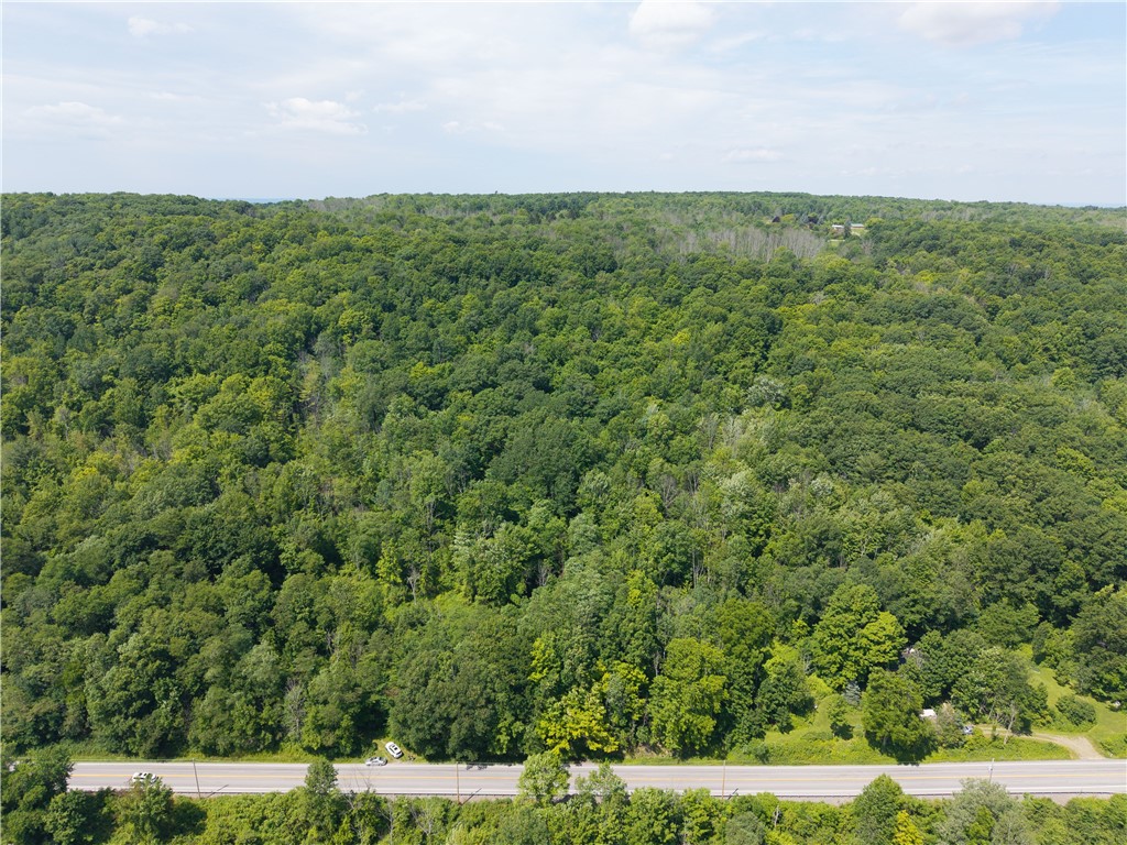 7080 Conesus Springwater Road Conesus, NY 14435 - Photo 5 of 14