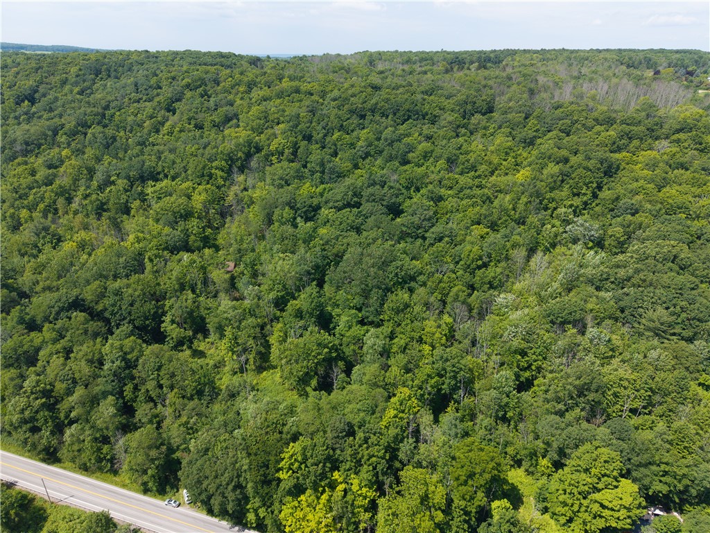 7080 Conesus Springwater Road Conesus, NY 14435 - Photo 6 of 14
