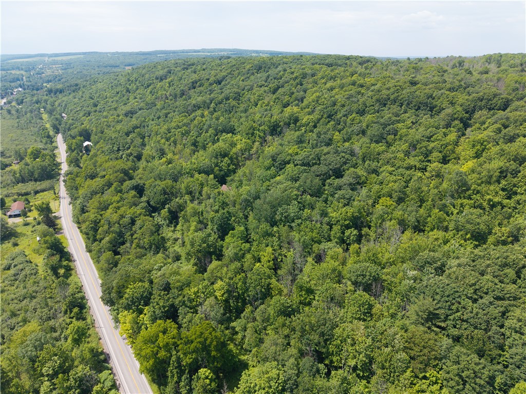 7080 Conesus Springwater Road Conesus, NY 14435 - Photo 7 of 14