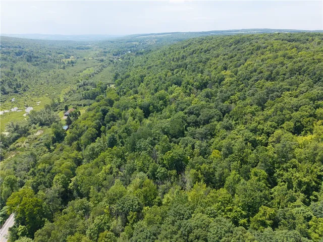 $32,000 | 7080 Conesus Springwater Road, Conesus, NY 14435