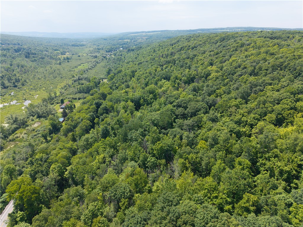 7080 Conesus Springwater Road Conesus, NY 14435 - Photo 9 of 14