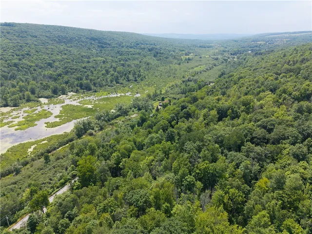 $32,000 | 7080 Conesus Springwater Road, Conesus, NY 14435