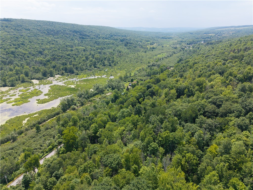 7080 Conesus Springwater Road Conesus, NY 14435 - Photo 10 of 14